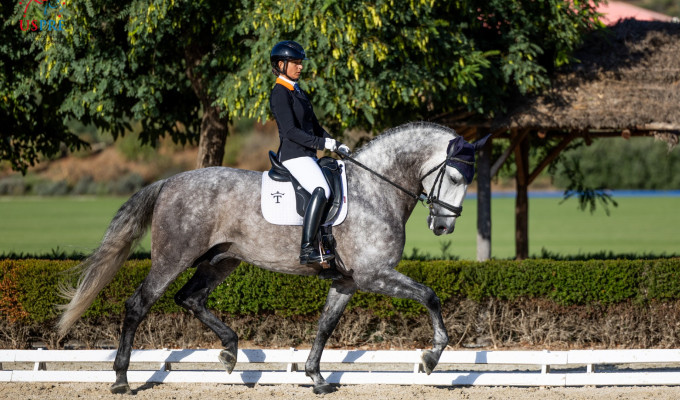 The Purebred Spanish Horse Shines on the National and International Stage