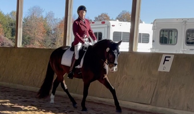 Betsy Fritz: “I have grown to love the breed, Just do it and apply for the High point Program”