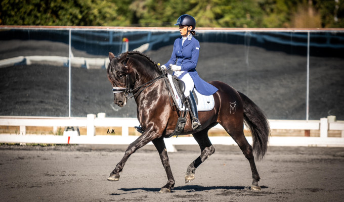 USPRE HIGH POINT AWARD WINNER AT DRESSAGE AT DANCING KINGS