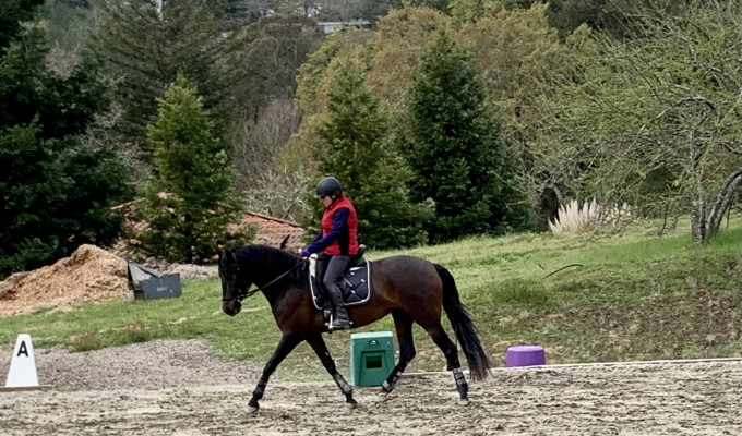 USPRE High Point Awards Winner at Spring Dressage in Santa Barbara