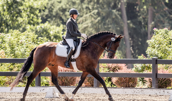 USPRE HIGH POINT AWARD WINNER AT DRESSAGE DEVONWOOD