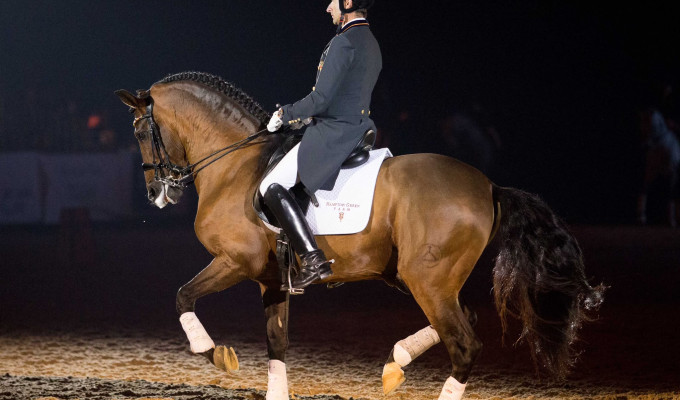 Two-Time Olympic Horse Grandioso III Dies at 27