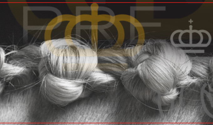 The FEI Awards the 2028–2030 Dressage World Breeding Championship for Young Horses to Randbøl (Denmark)
