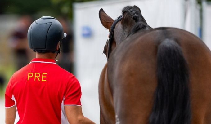 ANCCE launches the selection of the 2026 PRE Team going to Verden 2026