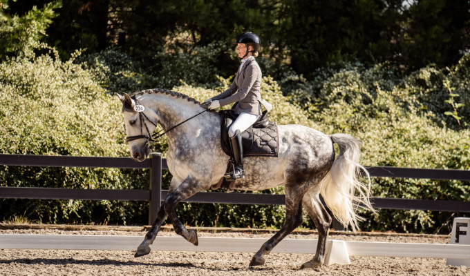 USPRE HIGH POINT AWARDS WINNER AT GINNY RATTNER MEMORIAL CDI3* & NATIONAL SHOW IN OREGON