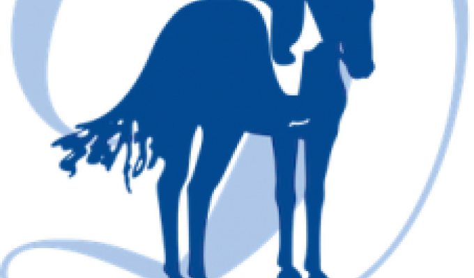 USDF All Breeds Program