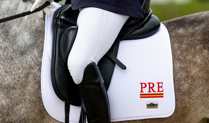Qualifications for Participation in the WBFSH World Championship of Young Horses For American Riders of PRE Horses